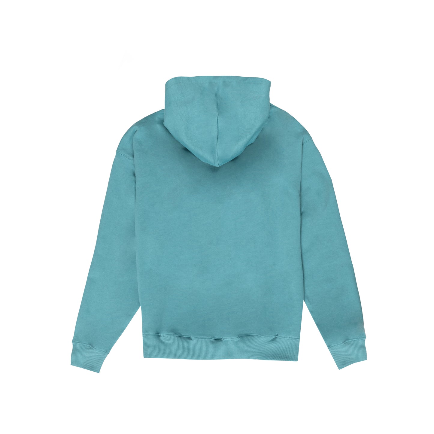 hoodie dsv unisex - panorama