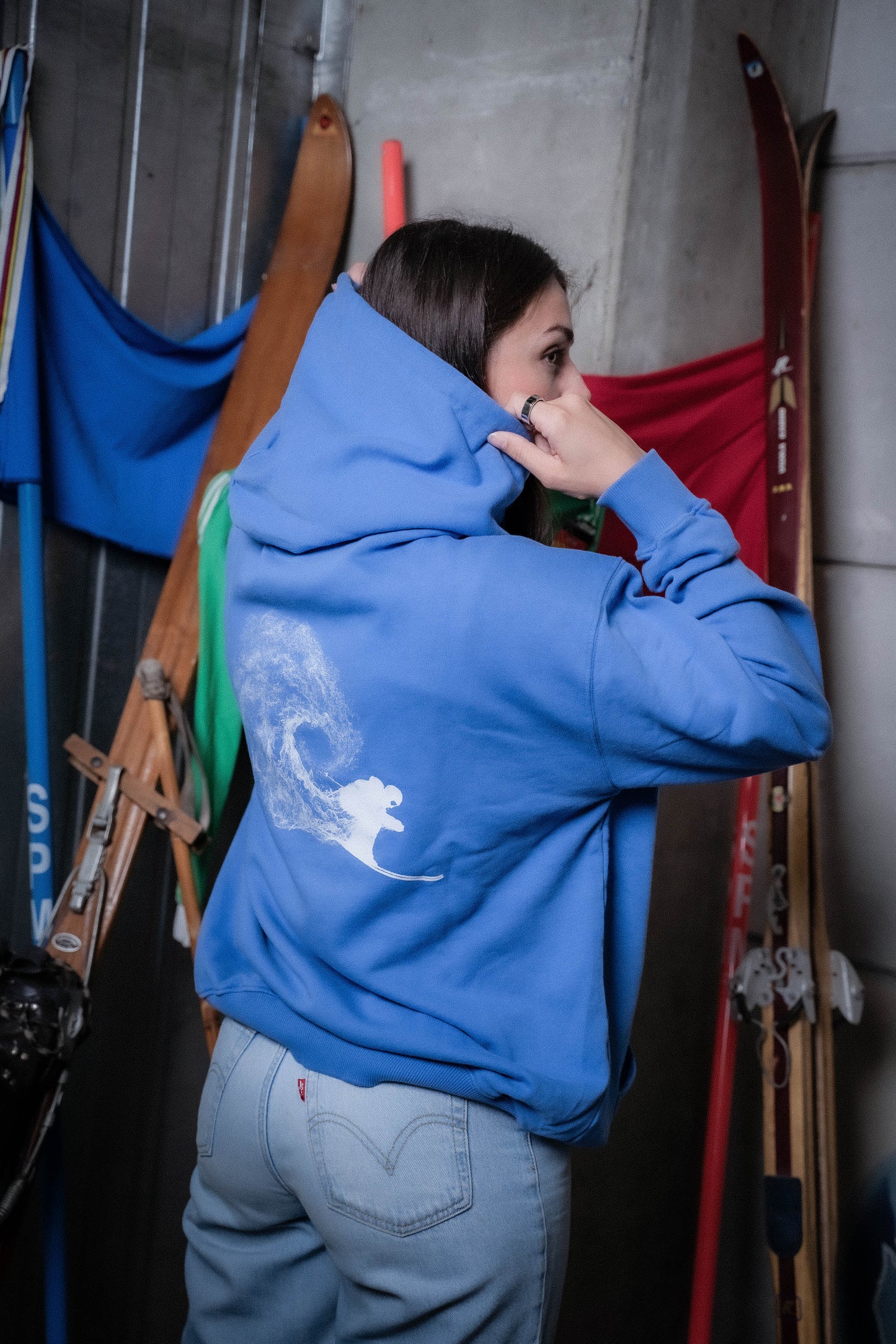 hoodie dsv unisex - verwehung