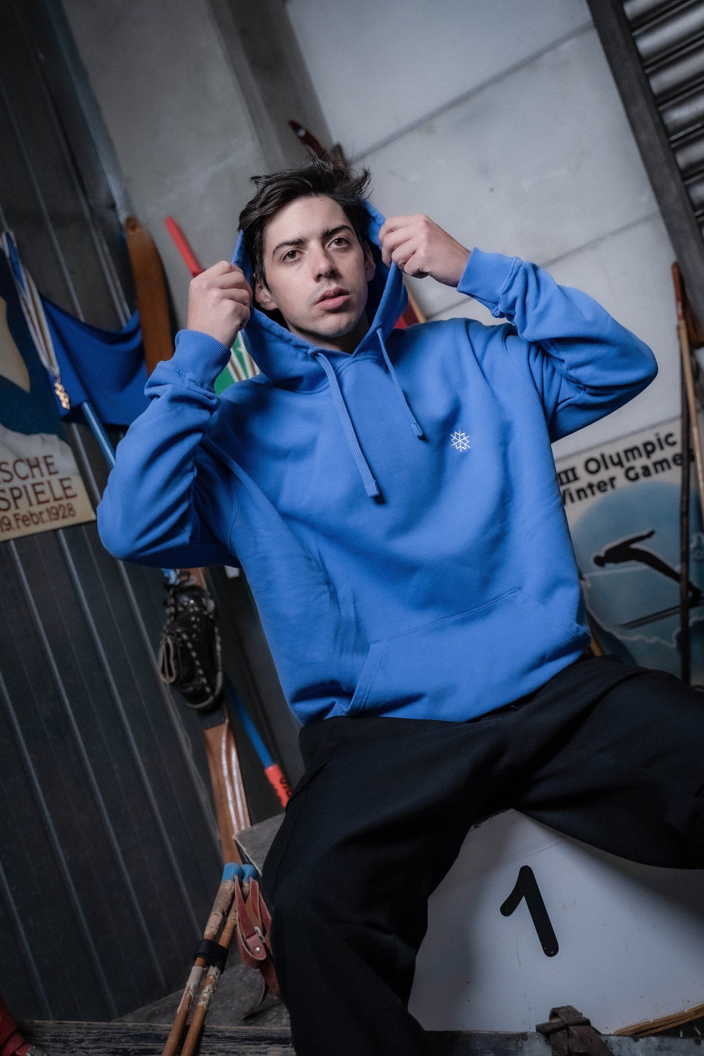 hoodie dsv unisex - verwehung