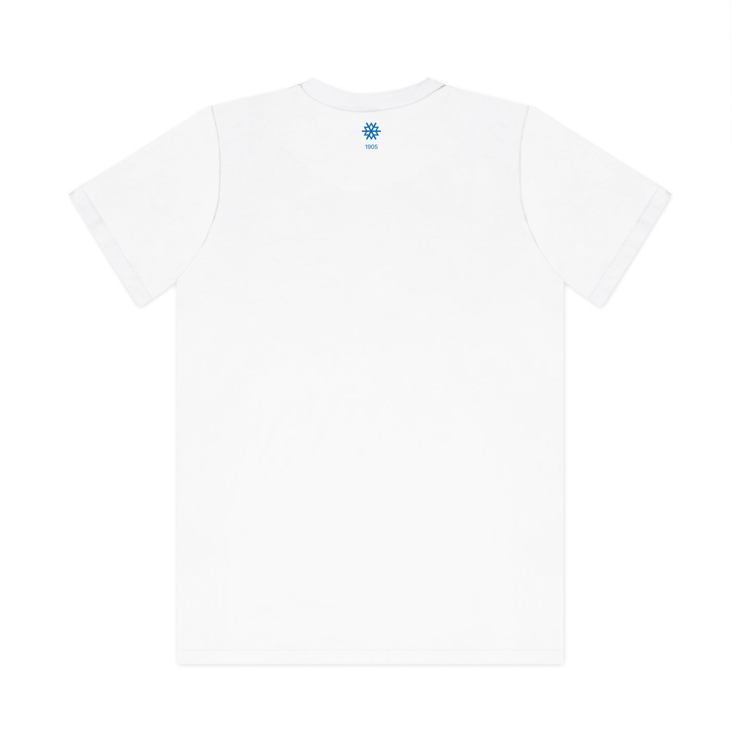 t-shirt dsv retro logo klein