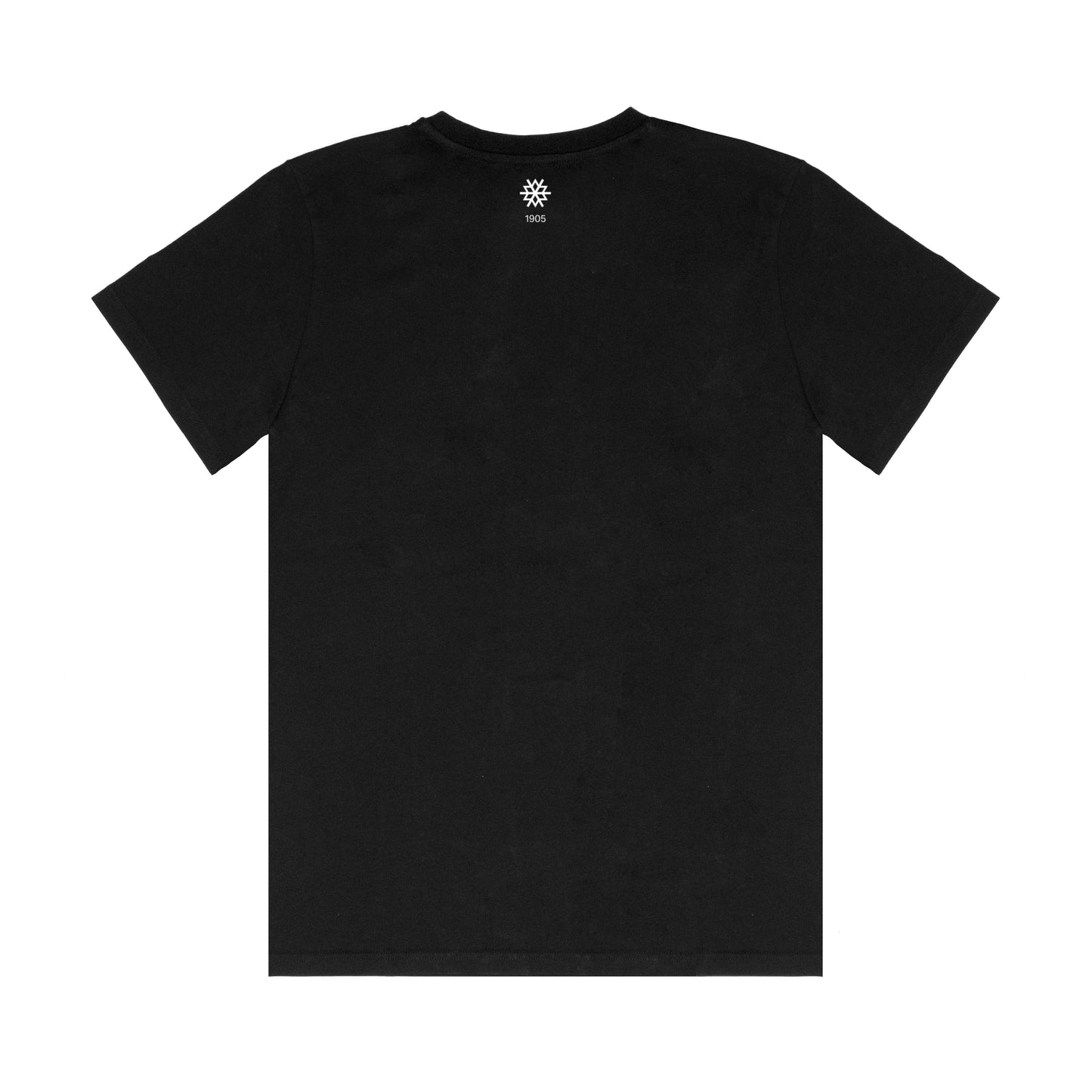 t-shirt dsv retro logo klein