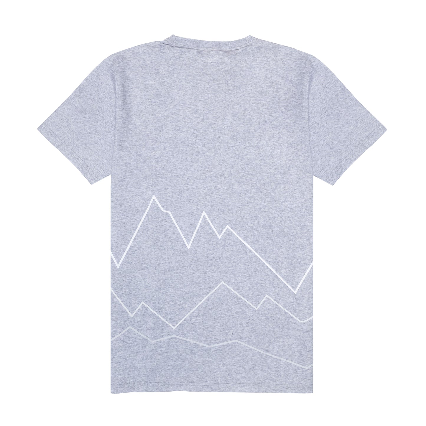 t-shirt herren dsv - grau