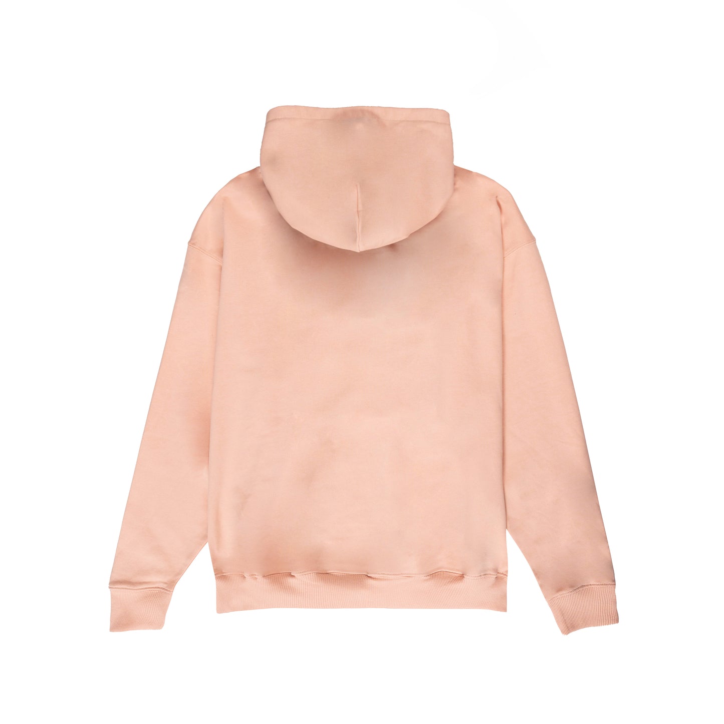 hoodie dsv unisex - abfahrt