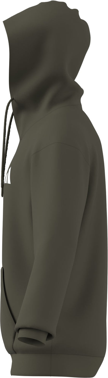 Adidas DSV Logo Hoodie grün