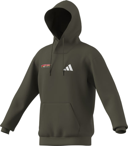 Adidas DSV Logo Hoodie grün