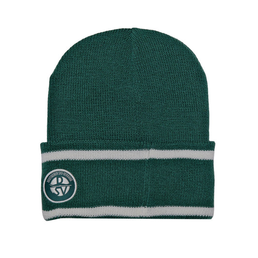 Adidas DSV Archive Beanie grün