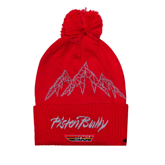 Adidas DSV PistenBully GFX Beanie